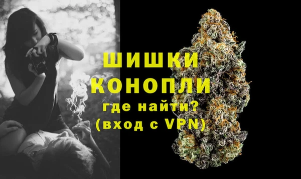 spice Армянск