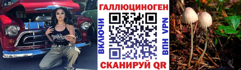 OMG ONION Сортавала Галлюциногенные грибы Psilocybine cubensis